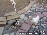 Vido intervention